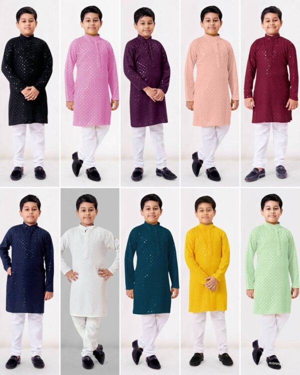 Kids Boy Heavy Chikankari Kids Wear in 10 Colors