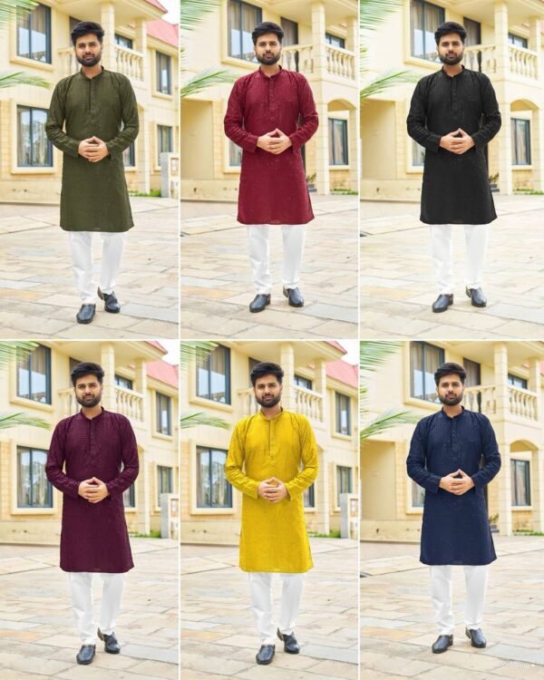 Sparkle Premium ethnic wear Collection in Trending 6 Colors for every occasion