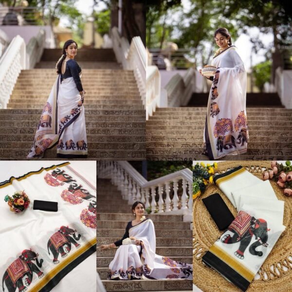 New Exclusive Design Introducing a Fresh Perspective in Saree