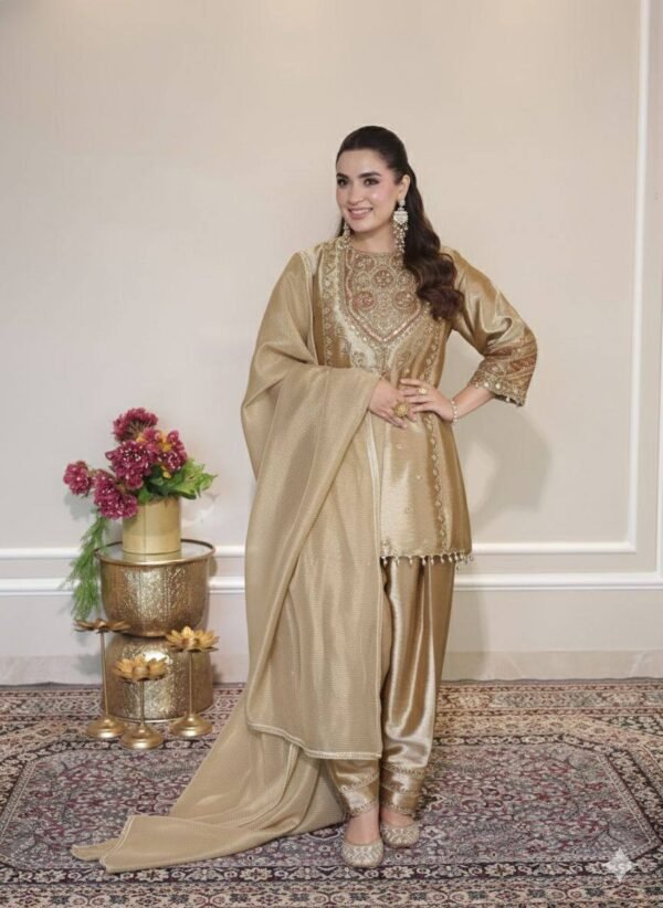 Gold Embroidered Salwar Kameez Suit Set